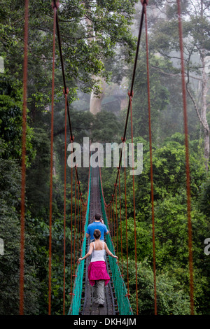 Les touristes sur le canopy walkway dans Danum Valley, Sabah, Bornéo Malaisien, en Malaisie, en Asie du Sud-Est, l'Asie Banque D'Images