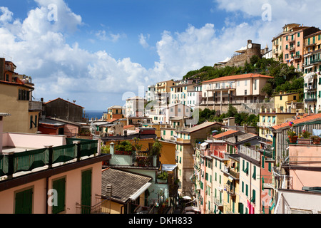 Toit au-dessus de la Via Colombo à Riomaggiore, Cinque Terre, UNESCO World Heritage Site, Ligurie, Italie, Europe Banque D'Images