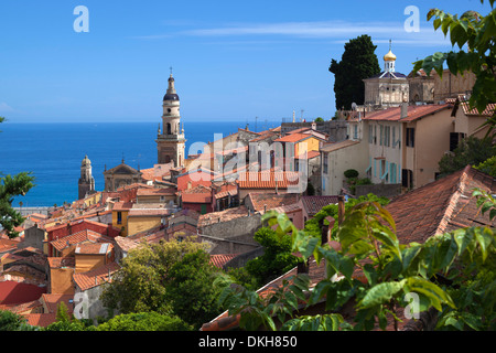 Vue sur la vieille ville et le port, Menton, Provence-Alpes-Côte d'Azur, Provence, France, Europe, Méditerranée Banque D'Images