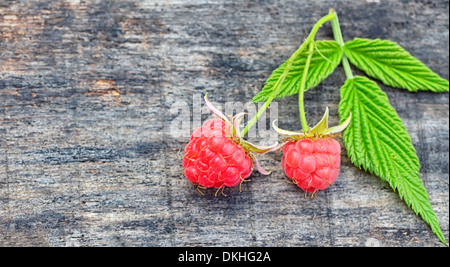 Framboises fraîches avec des tiges et feuilles sur fond de bois Banque D'Images