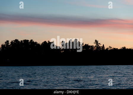 La tombée de la silhouette d'arbres sur les rives du lac, à Kenora, le lac des Bois, Ontario, Canada Banque D'Images