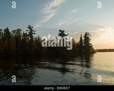 Arbres au crépuscule dans une forêt au bord de lac, Kenora, lac des Bois, Ontario, Canada Banque D'Images