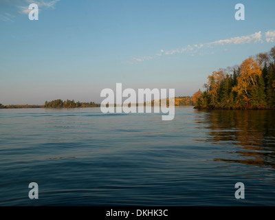 Les arbres d'automne dans une forêt au bord de lac, Kenora, lac des Bois, Ontario, Canada Banque D'Images