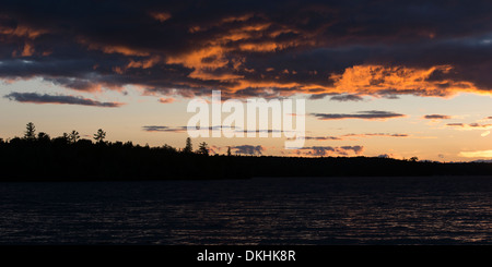 Sunset silhouette d'arbres au bord de lac, Kenora, lac des Bois, Ontario, Canada Banque D'Images