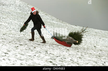 Peak District, UK. 06 Dec, 2013. Après une nuit de neige, Melissa, Ebbatson 20, de Pavillon Vert fleuristes, Buxton, utilise un traîneau pour offrir des arbres de Noël et des couronnes à ses clients les plus éloignées dans le Derbyshire Peak District. Credit : Joanne Roberts/Alamy Live News Banque D'Images