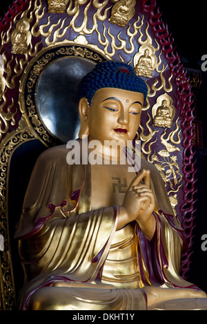 Statue de Bouddha à Giant Wild Goose Pagoda, Xi'an, Shaanxi, Chine Banque D'Images