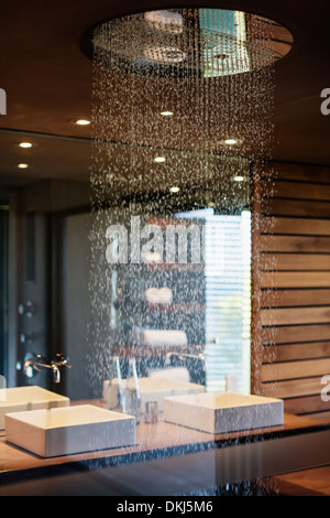 Douche dans salle de bains moderne ornée Banque D'Images