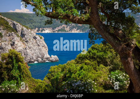 Les eaux bleu au large de la côte de l'île Ionienne de Corfou, Grèce Banque D'Images