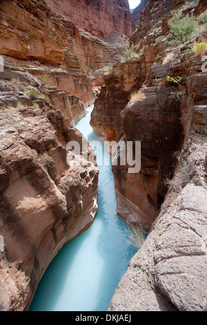 La fente canyon à l'embouchure de la rivière Havasu où il rencontre le Grand Canyon Banque D'Images