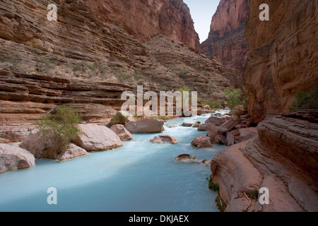 La fente canyon à l'embouchure de la rivière Havasu où il rencontre le Grand Canyon Banque D'Images