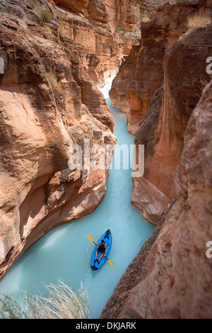 Un homme des pagaies de kayak dans le slot canyon à l'embouchure de la rivière Havasu où il rencontre le Grand Canyon Banque D'Images