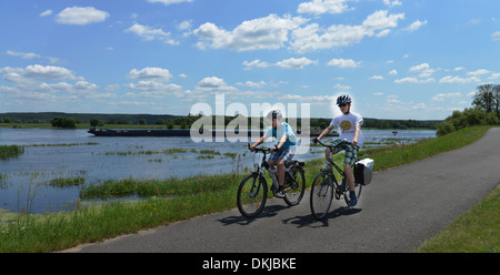 Oderradweg Kuestrin bei, Brandebourg, Deutschland / Küstrin Banque D'Images