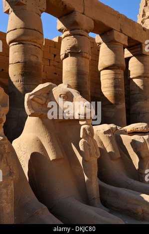 Sphinx à tête de bélier dans la grande cour - Temple de Karnak, Louxor, Egypte Banque D'Images