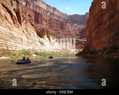 Deux radeaux de l'eau blanc ligne par l'intermédiaire d'un tronçon de la calme Redwall section du Grand Canyon. Banque D'Images