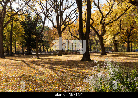 Central Park en automne, NYC Banque D'Images