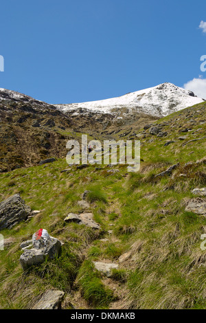 Grassy Mountain sentier menant jusqu'à la partie supérieure de la sommets M. Arzola (2158 m) au printemps. Sentier en rouge signe typique et whi Banque D'Images