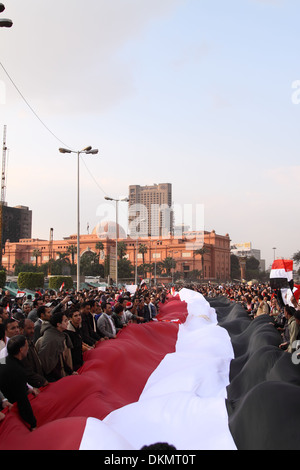 25 janvier l'avenir de l'Égypte (drapeau) @ Tahirir Square - Printemps arabe Banque D'Images