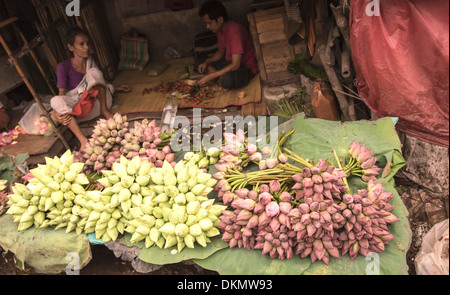 Kolkata marché aux fleurs [terre] [PT] [PH] rose,boutons de lotus blanc pour vente en bloc. Banque D'Images