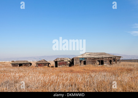 Des cabanes abandonnées lentement sombrer dans le marais à la ville fantôme de pont-levis, dans le sud de la baie de San Francisco. Banque D'Images