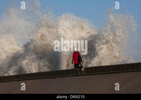 Lowestoft, UK. 06 Dec, 2013. Le dirigeant d'une figure et un chien watch vagues sur un raz-de-marée se briser sur la digue à Lowestoft derrière North Deanes Caravan Park, le vendredi 6 décembre 2013. Une combinaison de la marée haute et la marée pire dans 60 ans a été causant des inondations et l'évacuation à travers l'Est de l'Angleterre - Lowestoft est point le plus à l'Est de l'UK Crédit : Solveig Stibbe/Alamy Live News Banque D'Images