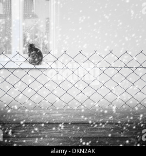 Fond d'hiver avec une clôture et un chat sur la fenêtre. Chute de neige Banque D'Images