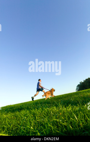 L'âge moyen homme qui court sur un terrain herbeux avec un Golden Retriever dog. Banque D'Images