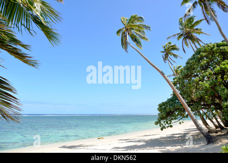 Une plage de sable blanc, désertes en surplomb avec des palmiers le long de la Côte de Corail, sur l'île de Viti Levu, Fidji dans l'océan Pacifique. Banque D'Images