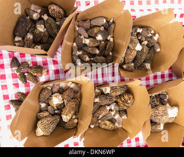 Morilles fraîchement récolté à l'affiche au farmers market Banque D'Images