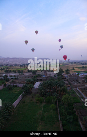 Montgolfières sur Luxor Banque D'Images