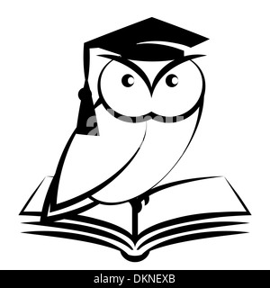 Hibou avec college hat et livre - symbole de sagesse isolé sur fond blanc Banque D'Images