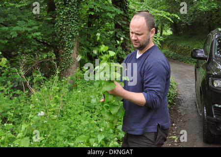 Simon Rogan, chef et propriétaire du restaurant étoilé Michelin L'enclume à butiner dans Cumbria Banque D'Images