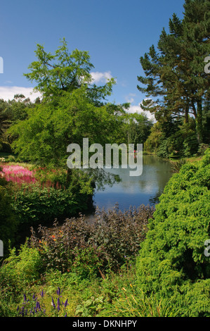 Étang de jardin dans la région de Marwood Hill Gardens dans le Devon UK. Banque D'Images