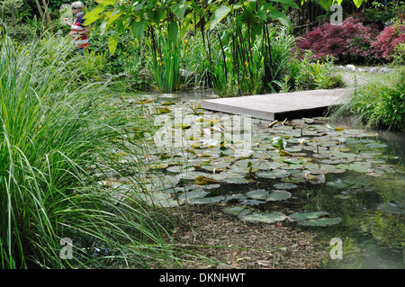 Nénuphars sur un étang en Andre Heller Botanical Gardens, Gardone Riviera, Lac de Garde. Banque D'Images