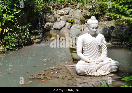 Statue de Bouddha dans un lac à l'Andre Heller Botanical Gardens, Gardone Riviera, Lac de Garde. Banque D'Images