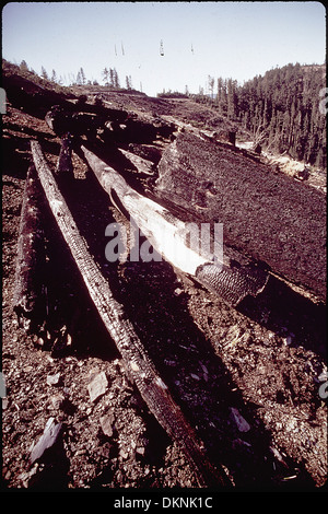 La coupe à blanc fait référence au processus d'enlèvement de tous les arbres dans une zone spécifique, souvent à des fins d'exploitation forestière ou d'aménagement du territoire. Cette pratique controversée a des impacts environnementaux importants, y compris la destruction de l'habitat et l'érosion des sols. L'image montre un exemple de coupe nette en cours, avec une grande surface dépourvue d'arbres. Banque D'Images
