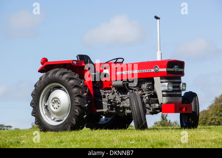 Un tracteur Massey Ferguson vintage Banque D'Images
