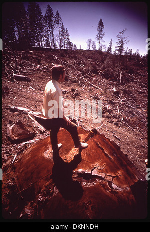 L'abattage aveugle A DÉTRUIT DU BOIS SUR LES PENTES DE LA REDWOOD CREEK WATER SHED, entraînant l'ensablement et l'ÉROSION... 542864 Banque D'Images