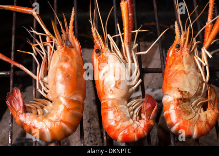 Gambas grillées sur le barbecue Banque D'Images