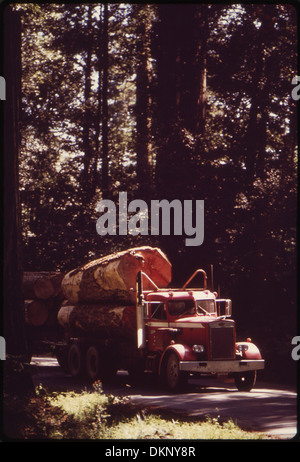 Cette image montre des zones proches de magnifiques séquoias en Californie où les pratiques d'exploitation forestière et de coupe à blanc ont eu un impact considérable sur le paysage. Ces pratiques ont entraîné une dégradation de l'environnement dans des zones autrefois riches en ressources naturelles. Banque D'Images