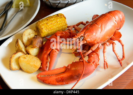 Homard rouge marine live rôti servi sur la plaque Banque D'Images