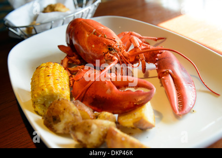 Homard rouge marine live rôti servi sur la plaque Banque D'Images