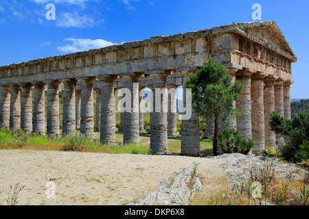 Temple dorique, Segesta, Sicile, Italie Banque D'Images