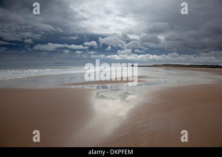 Les nuages reflètent dans l'eau sur plage Banque D'Images