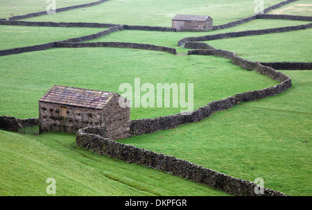 Maisons en pierre et des murs dans des champs verts Banque D'Images