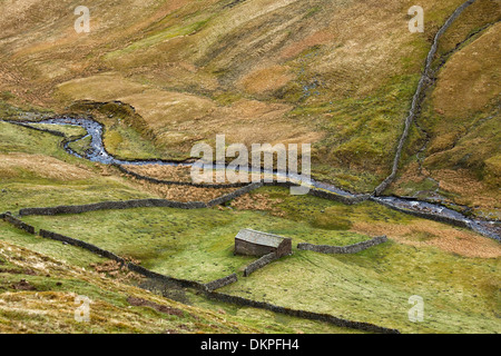 Les pâturages dans paysage rural Banque D'Images