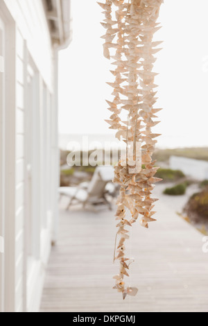 Strand de coquilles hanging on patio Banque D'Images