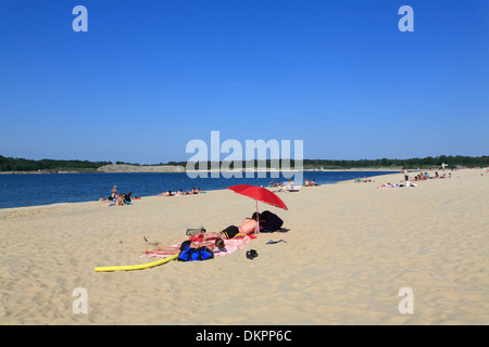 Haltern am See, plage 2, Münster Silbersee, Rhénanie du Nord-Westphalie, Allemagne Banque D'Images