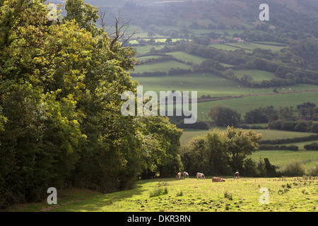 Le matériel roulant de la campagne anglaise en tours, North Yorkshire, Angleterre Banque D'Images