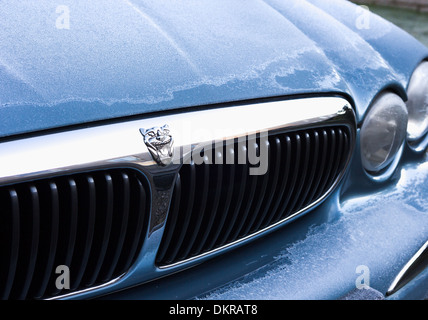 Voiture Jaguar X type bonnet et grill Banque D'Images