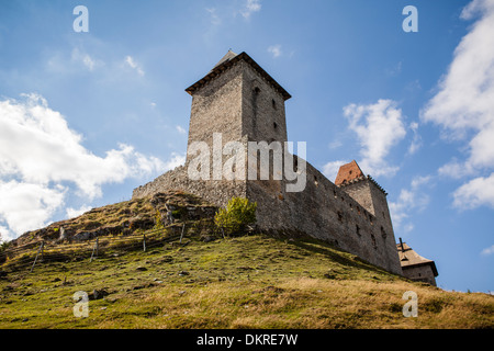 Château gothique Kasperk, District Klatovy, forêt de Bohême, République Tchèque Banque D'Images